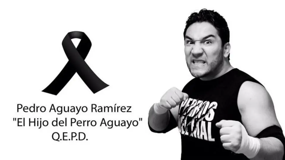 Blue Demon Jr. lamenta fallecimiento del Hijo del Perro Aguayo