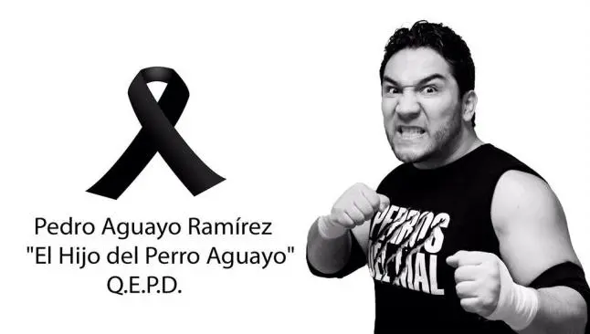 Blue Demon Jr. lamenta fallecimiento del Hijo del Perro Aguayo