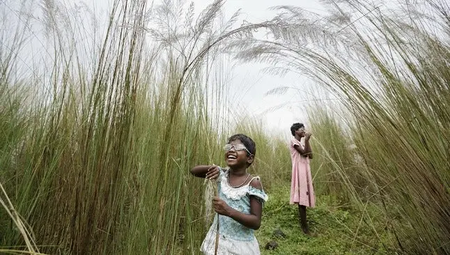 Checa las imágenes candidatas a ganar el Concurso Mundial de Fotografía 2015