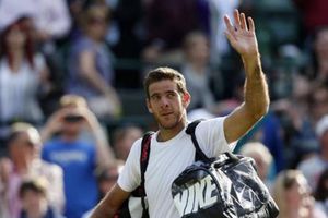 Del Potro no jugará el Abierto de Estados Unidos