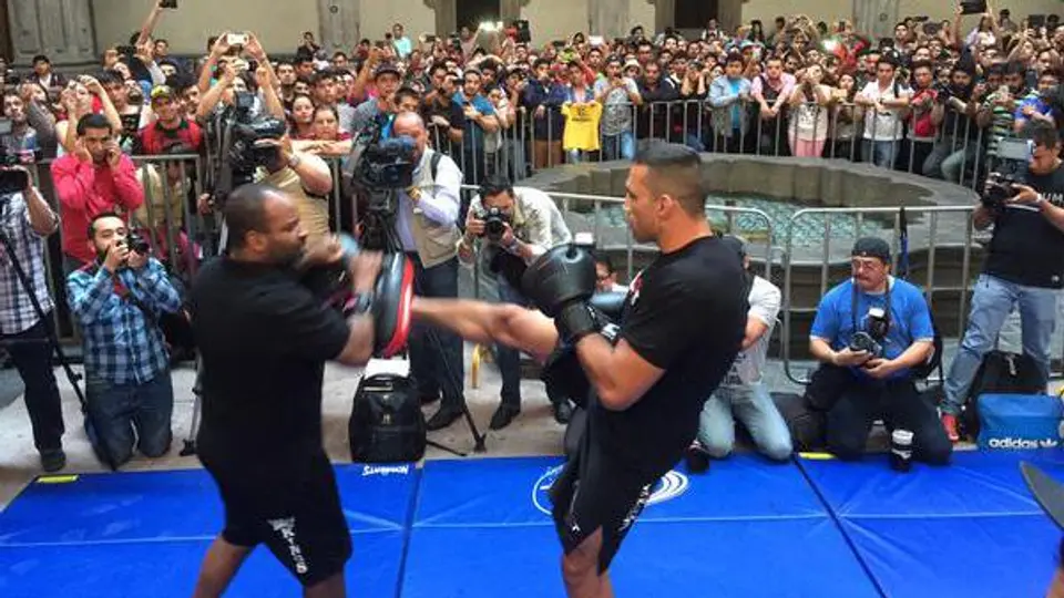 'Voy a demostrar que puedo ser campeón absoluto': Werdum