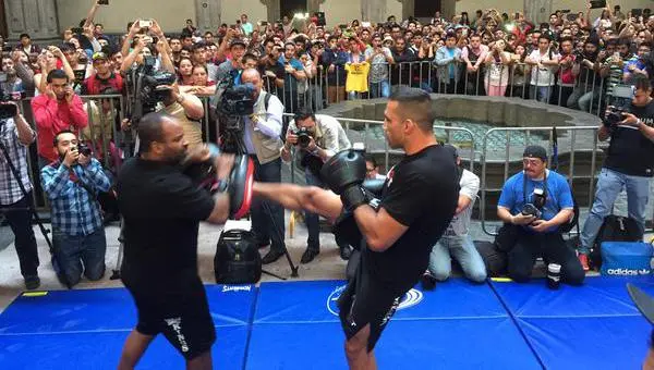 'Voy a demostrar que puedo ser campeón absoluto': Werdum