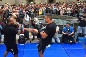 'Voy a demostrar que puedo ser campeón absoluto': Werdum