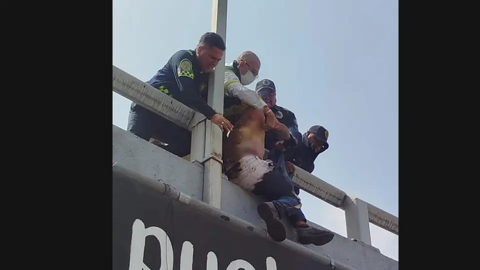El incidente ocurrió en la salida hacia la calle Oaxaca, en la colonia Roma Norte. / SSC CDMX