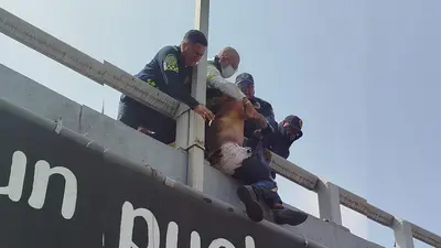 Pánico en la Glorieta de Insurgentes: hombre se prende fuego y policías evitan que salte
