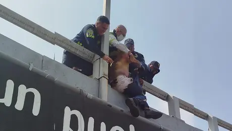 Pánico en la Glorieta de Insurgentes: hombre se prende fuego y policías evitan que salte