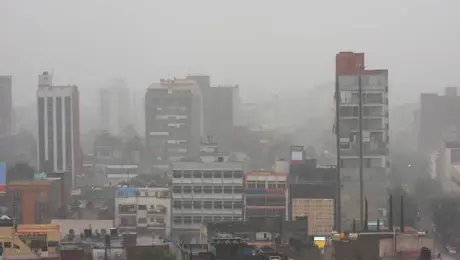 Febrero inicia con frío en la CDMX: activan doble alerta por bajas temperaturas