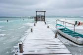 ¿Nieve en las playas del Golfo de México? Qué dice el pronóstico por ola ártica extrema