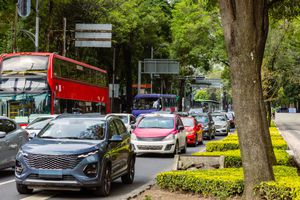 Hoy No Circula sabatino 31 de enero: qué autos no pueden circular en CDMX y Edomex