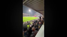 ¡LOCURA! Así vivieron los bosnios el pase de su selección al Mundial