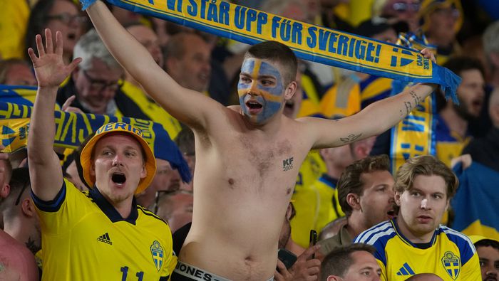 Afición de Suecia durante el partido ante Ucrania en el repechaje de la UEFA | AP