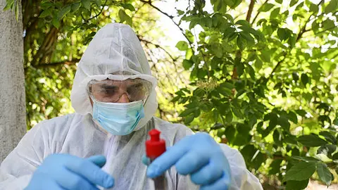 ¿Llegó el ébola a Brasil? Investigan caso sospechoso y aíslan a un paciente