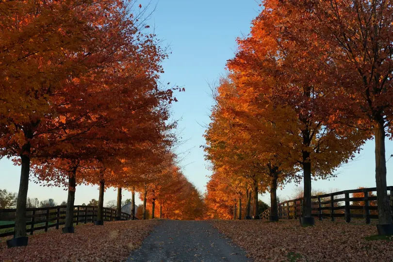Toronto, Canadá | AP