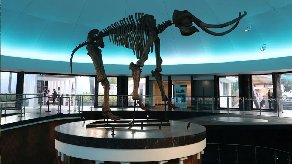 El Museo de Historia Natural y Cultura Ambiental está ubicado en la segunda sección del Bosque de Chapultepec / Especial