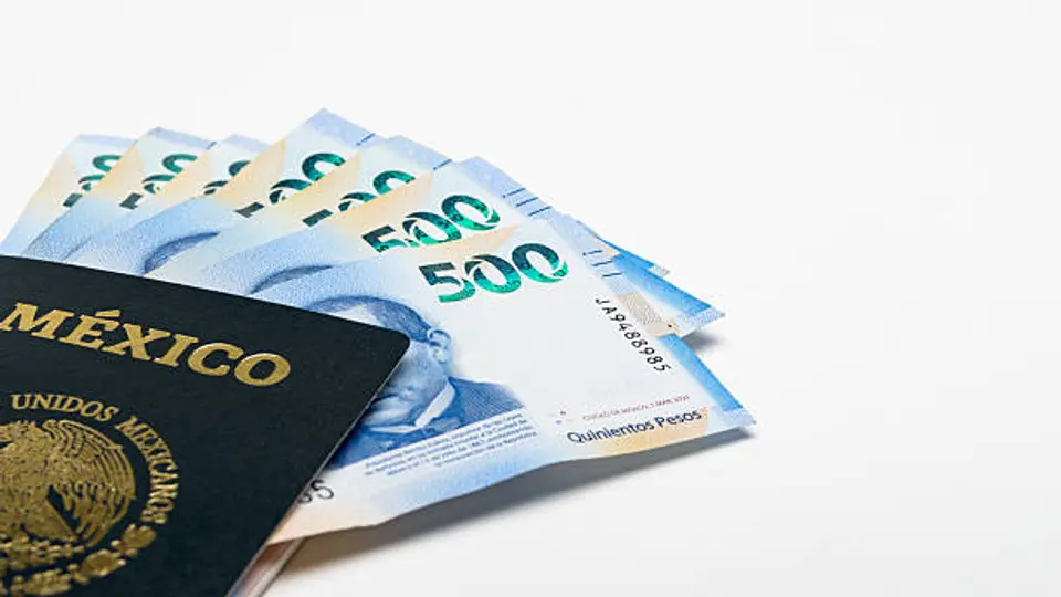 El pasaporte con vigencia de un año está disponible únicamente para menores de 3 años./ Pixabay