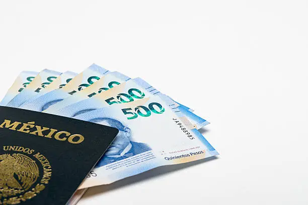 El pasaporte con vigencia de un año está disponible únicamente para menores de 3 años./ Pixabay