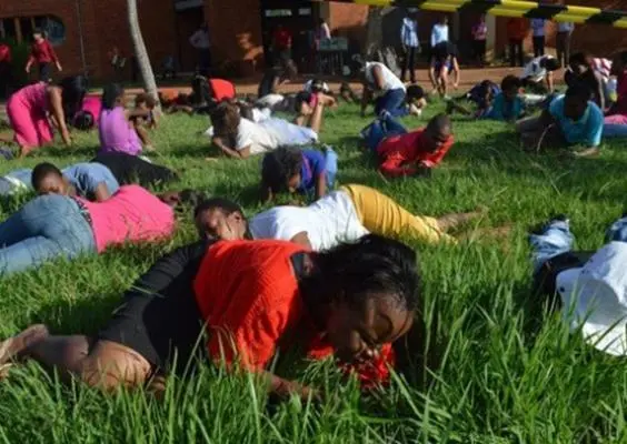 Para acercarse a Dios, 'pastan' como ovejas