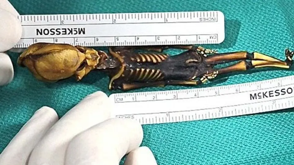 Alien descubierto en Chile tiene características humanas