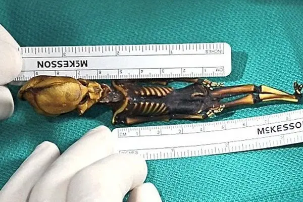 Alien descubierto en Chile tiene características humanas