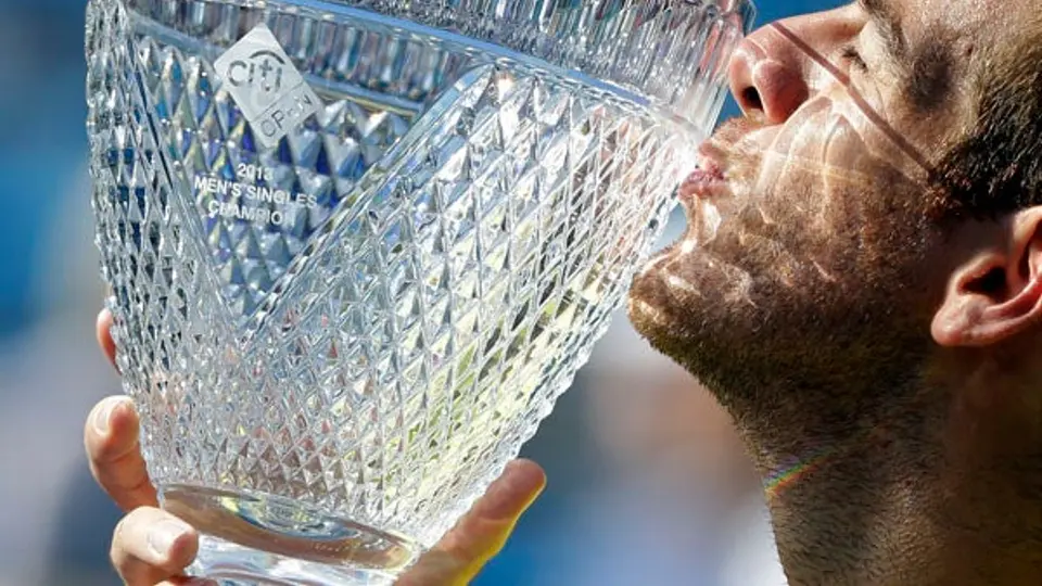 Del Potro se lleva el Abierto de Washington