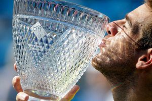 Del Potro se lleva el Abierto de Washington
