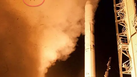 'Rana astronauta' de la NASA se vuelve viral