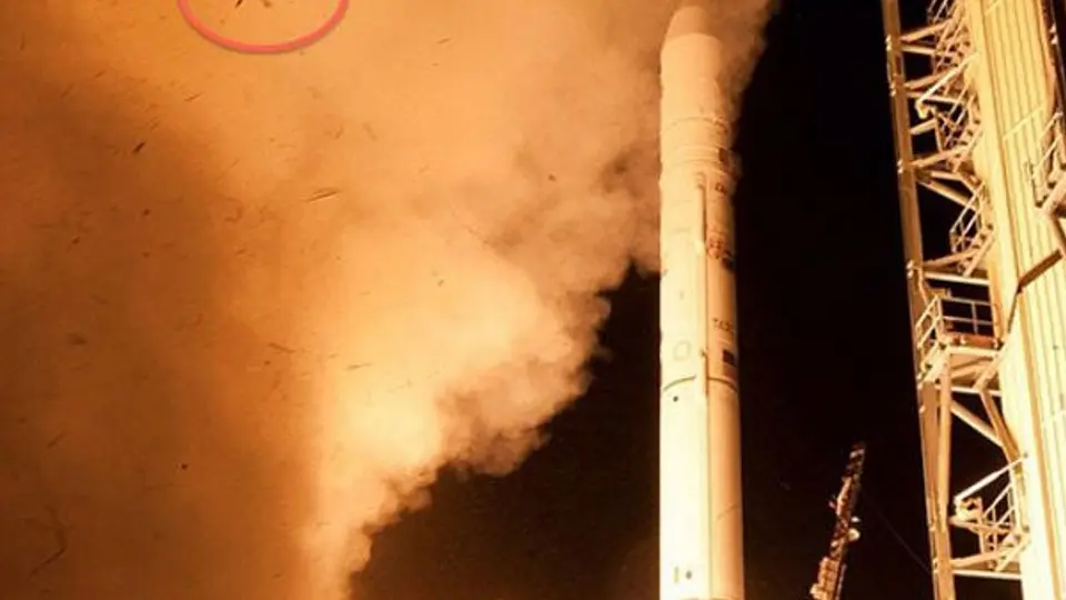 'Rana astronauta' de la NASA se vuelve viral