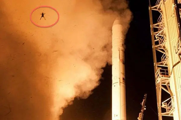 'Rana astronauta' de la NASA se vuelve viral