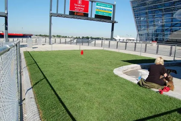 Aeropuerto de San Diego instala baño para mascotas