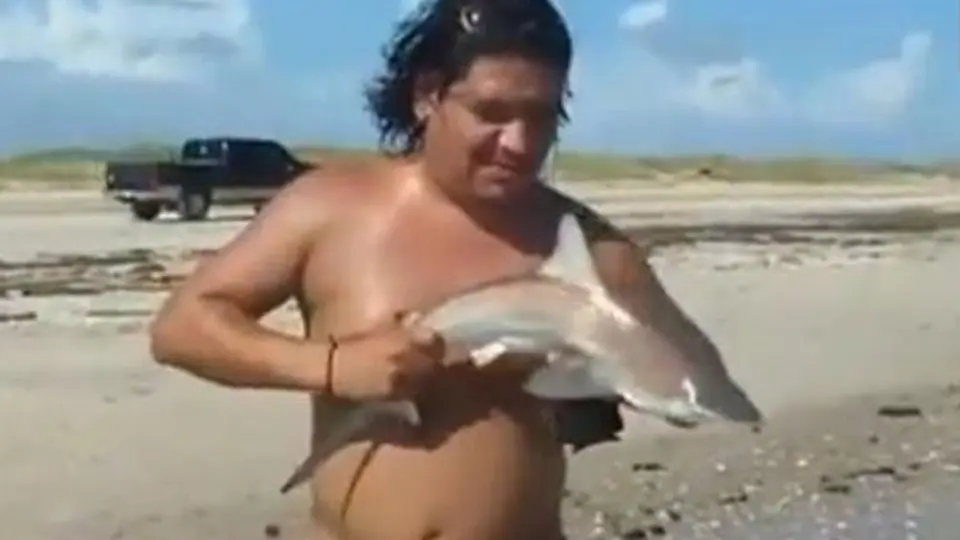 Turista sufre mordedura al intentar tomarse foto con tiburón