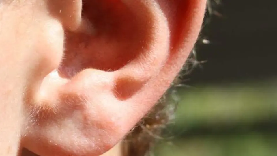 Por apuesta, dos hombres se cortan una oreja