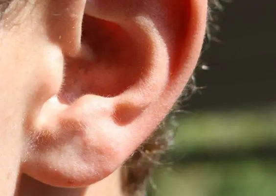 Por apuesta, dos hombres se cortan una oreja