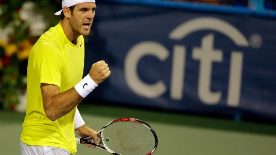 Del Potro enfrentará a Isner en la Final de Washington