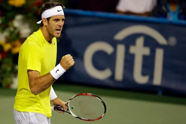 Del Potro enfrentará a Isner en la Final de Washington