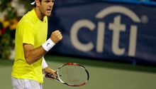 Del Potro enfrentará a Isner en la Final de Washington