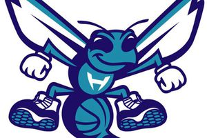 Bobcats volverán a llamarse Hornets