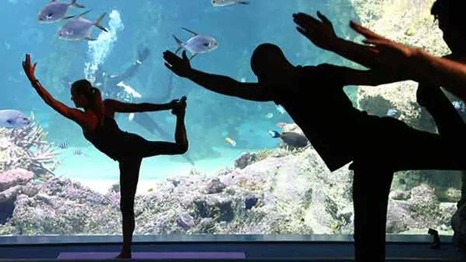 'Yoga by the Sea', práctica a profundidad