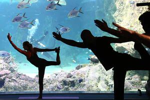 'Yoga by the Sea', práctica a profundidad