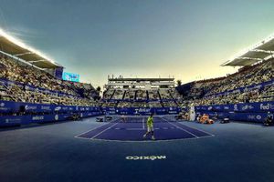 Realizarán ajustes en canchas del AMT