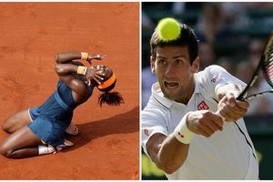 Djokovic y Serena, los mejores tenistas de 2013
