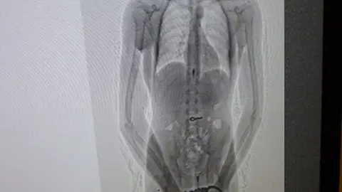 ¡Se tragó la llave!