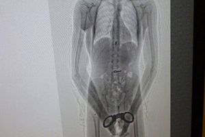 ¡Se tragó la llave!