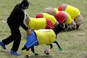 Colombia vence a Brasil en un juego de ovejas