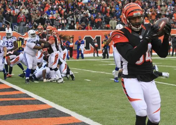 Cincinnati mantiene su invicto como local