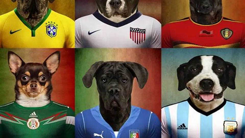 'The World Pup', la Copa canina del Mundial