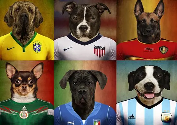 'The World Pup', la Copa canina del Mundial