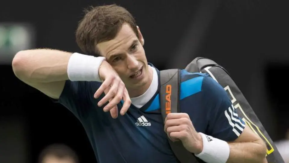 Murray y Del Potro caen en Cuartos en Rotterdam