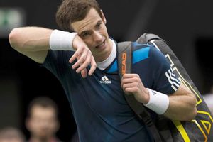 Murray y Del Potro caen en Cuartos en Rotterdam