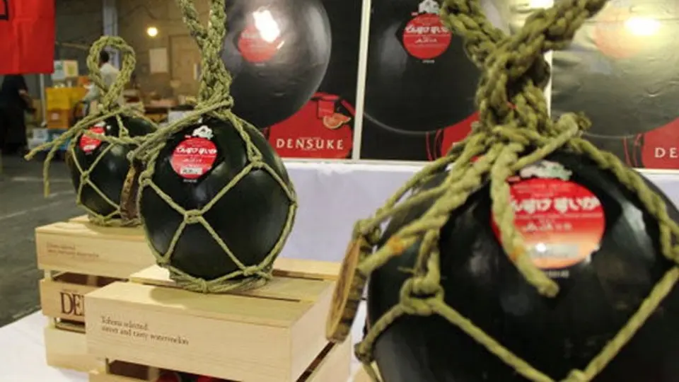 'Densuke', la sandía negra subastada por 2 mil 380 euros