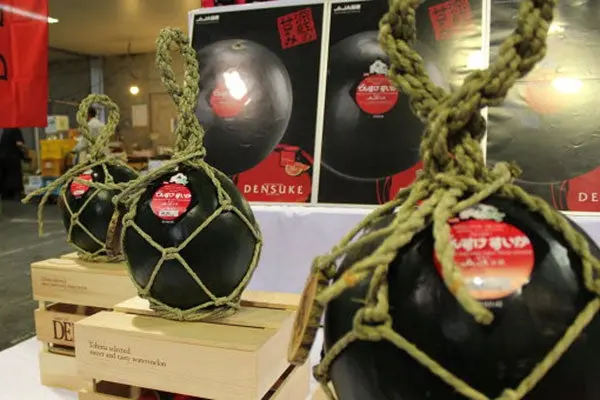'Densuke', la sandía negra subastada por 2 mil 380 euros